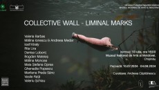 Collective Walls FB