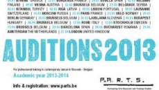 P.A.R.T.S Auditions 2013 -2